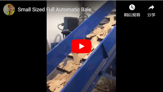 Small Sized Full Automatic Baler